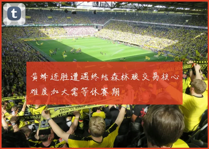 黄蜂连胜遭遇终结森林狼交易核心难度加大需等休赛期